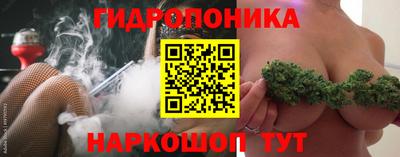 крисы Изобильный