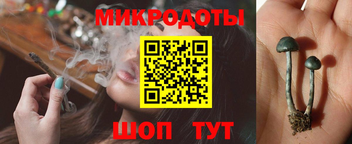 Кушва  Галлюциногенные грибы MAGIC MUSHROOMS  Вход с VPN  Псилоцибиновые грибы мицелий 